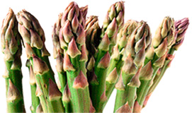 Spargel