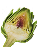 Artischocke