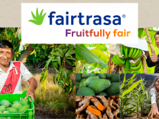 Fairtrasa wurde im Jahr 2005 mit einem Traum gegründet. Dem Traum, die Obstindustrie zu verändern. Wir wollen immer noch mehr Geschäfte mit Herz machen. Mit Herz für Landwirte. Mit Herz für die Umwelt. Mit Herz für künftige Generationen, die von unserem Handeln abhängen.
