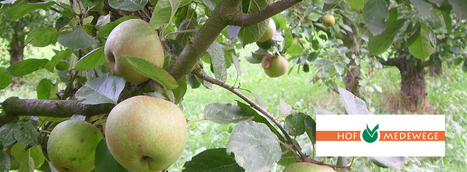 Rettet die alten Apfelsorten - kulturelles Erbe, wertvoll für die Umwelt und - einfach lecker! 